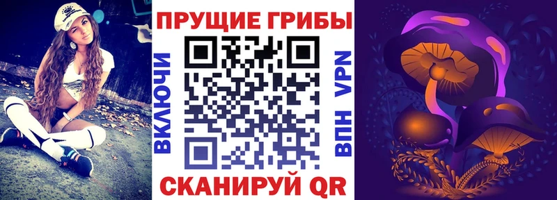 нарко площадка официальный сайт  Николаевск  блэк спрут ССЫЛКА  Галлюциногенные грибы Magic Shrooms  где найти наркотики 